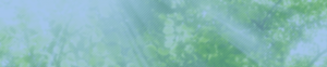 top_bg01